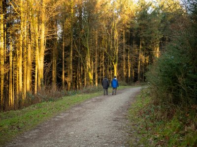 Twintig minuten in het bos verlaagt je stresshormoon