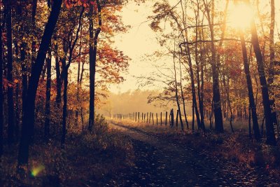 Bestaat de herfstdip eigenlijk wel?