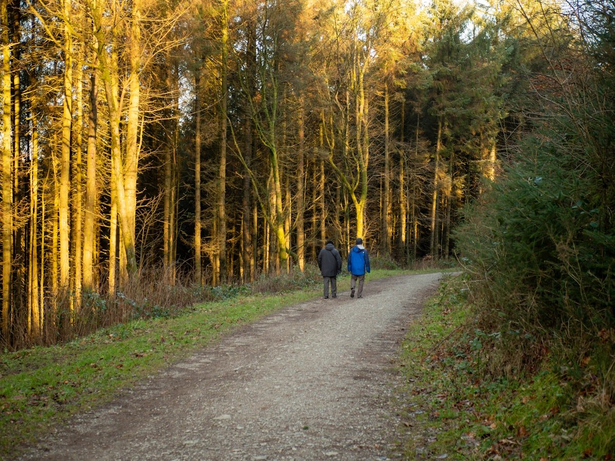 Twintig minuten in het bos verlaagt je stresshormoon
